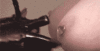 Click image for larger version. 

Name:	tumblr_meemvhg1vn1ql6862o1_400.gif 
Views:	59 
Size:	430.2 KB 
ID:	48076