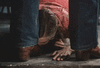 Click image for larger version. 

Name:	tumblr_mvpnwvCSVc1qadwmuo1_500.gif 
Views:	44 
Size:	991.7 KB 
ID:	49317
