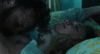 Click image for larger version. 

Name:	tumblr_n6u76w4vJ11sv5v93o3_400.gif 
Views:	41 
Size:	1.94 MB 
ID:	52294