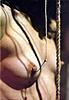 Click image for larger version. 

Name:	tumblr_nd5rw8UI871s4jw4io1_500.jpg 
Views:	40 
Size:	79.6 KB 
ID:	52547