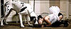 Click image for larger version. 

Name:	tumblr_nfauqd6Gmz1rkhxs7o1_500.jpg 
Views:	47 
Size:	25.9 KB 
ID:	52752