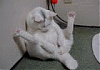 Click image for larger version. 

Name:	index.php.gif 
Views:	254 
Size:	65.3 KB 
ID:	5288