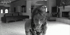Click image for larger version. 

Name:	tumblr_nij2y7HuYx1tfdqpeo1_400.gif 
Views:	65 
Size:	1.52 MB 
ID:	53018