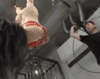 Click image for larger version. 

Name:	tumblr_nkup9v5VtD1rhup7qo1_500.gif 
Views:	56 
Size:	1.94 MB 
ID:	53417