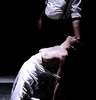 Click image for larger version. 

Name:	tumblr_nkyfgtrx871rmiuvfo6_500.gif 
Views:	46 
Size:	1.60 MB 
ID:	53504