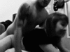 Click image for larger version. 

Name:	tumblr_mzu6qlB7kx1soqeaqo4_250.gif 
Views:	24 
Size:	981.9 KB 
ID:	54375