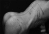 Click image for larger version. 

Name:	tumblr_nvgpua9Ne21rqo4hto2_400.gif 
Views:	31 
Size:	1.95 MB 
ID:	54550