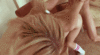 Click image for larger version. 

Name:	tumblr_o3ca2b6Fzs1v8m5gmo1_400.gif 
Views:	81 
Size:	1.99 MB 
ID:	55182