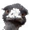 CreativeChaos's Avatar