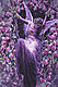 Fairy Tree's Avatar