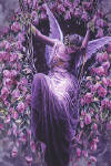 Fairy Tree's Avatar