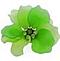 Green's Avatar