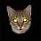 HughJorgan's Avatar