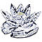 waterlily's Avatar