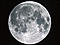 moonlitsub's Avatar