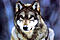 ruby_seawolf{DJ}'s Avatar