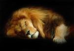 SirLion64's Avatar