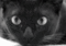 morpheus69's Avatar