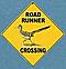 Roadrunner2005