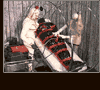 Femdom latex dolls slave movies and pics. Get instant access to Cruelwomenrules.com!