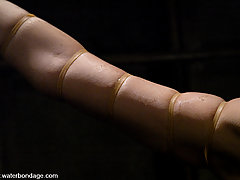 Water Bondage Pictures -  Amber Rayne experiences the Sybian for the first time