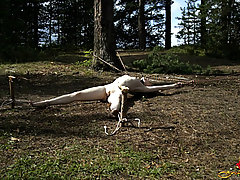Outdoors Pictures -  Girl crucified and left alone in the wood