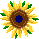 katie_nz's Avatar