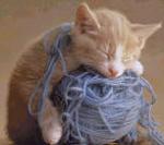 smartass kitten's Avatar