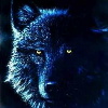 Hunter's Avatar
