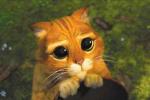 alleykat's Avatar