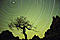 RKKR's Avatar