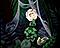 katillac156's Avatar
